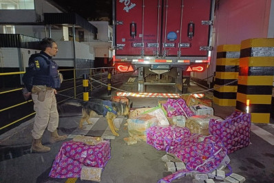 PRF prende homem transportando quase 400 kg de maconha em carregamento de carne em MG