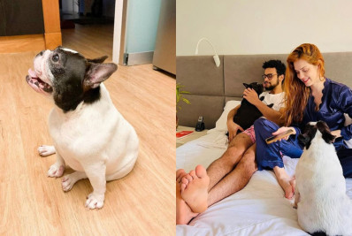Sophia Abrahão e Sérgio Malheiros lamentam a morte da cachorrinha Lady
