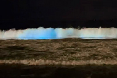  Mar neon? Entenda fenômeno que ocorreu em Santa Catarina