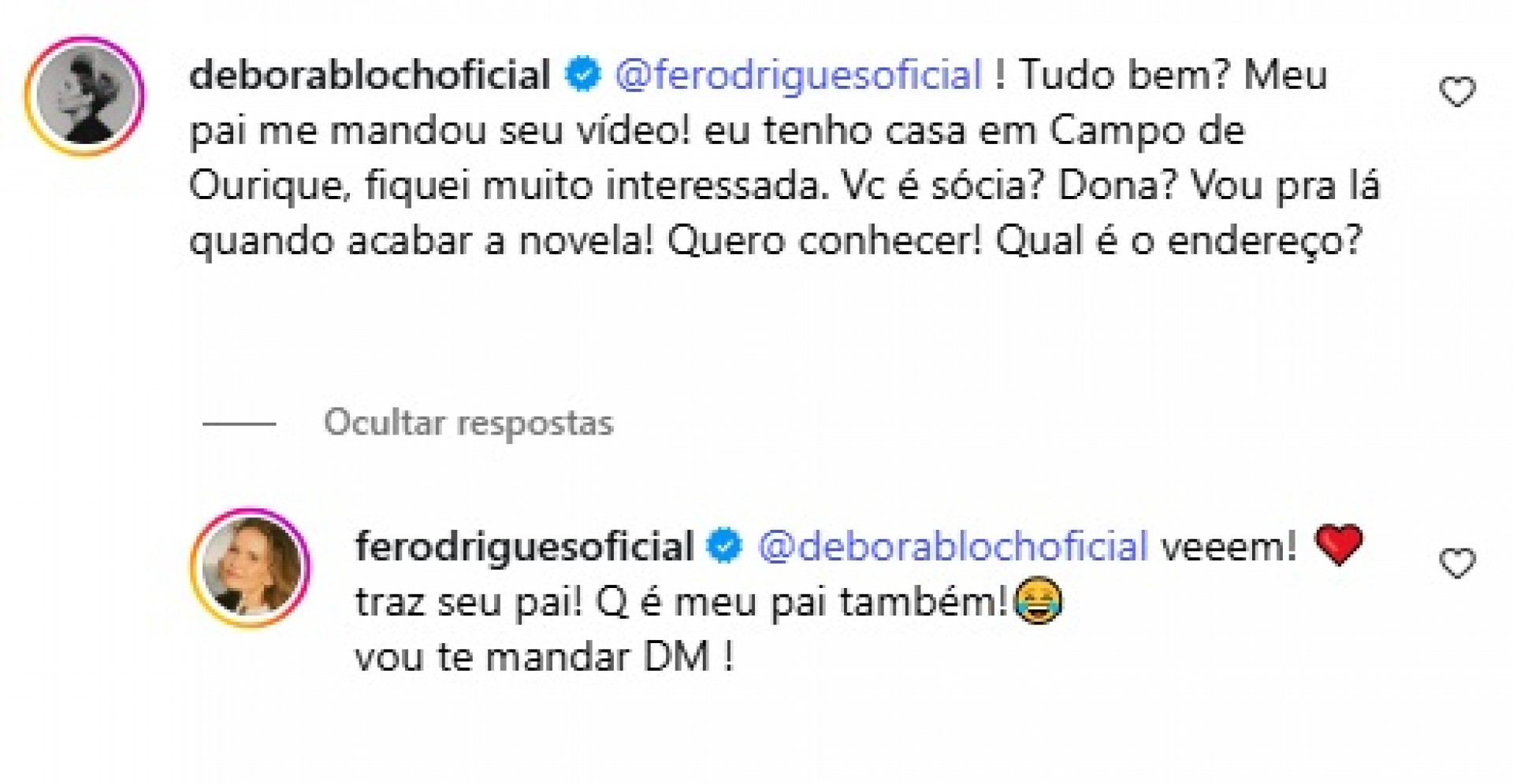 Debora Bloch contou onde passará as férias em comentário no Instagram  - Reprodução/Instagram