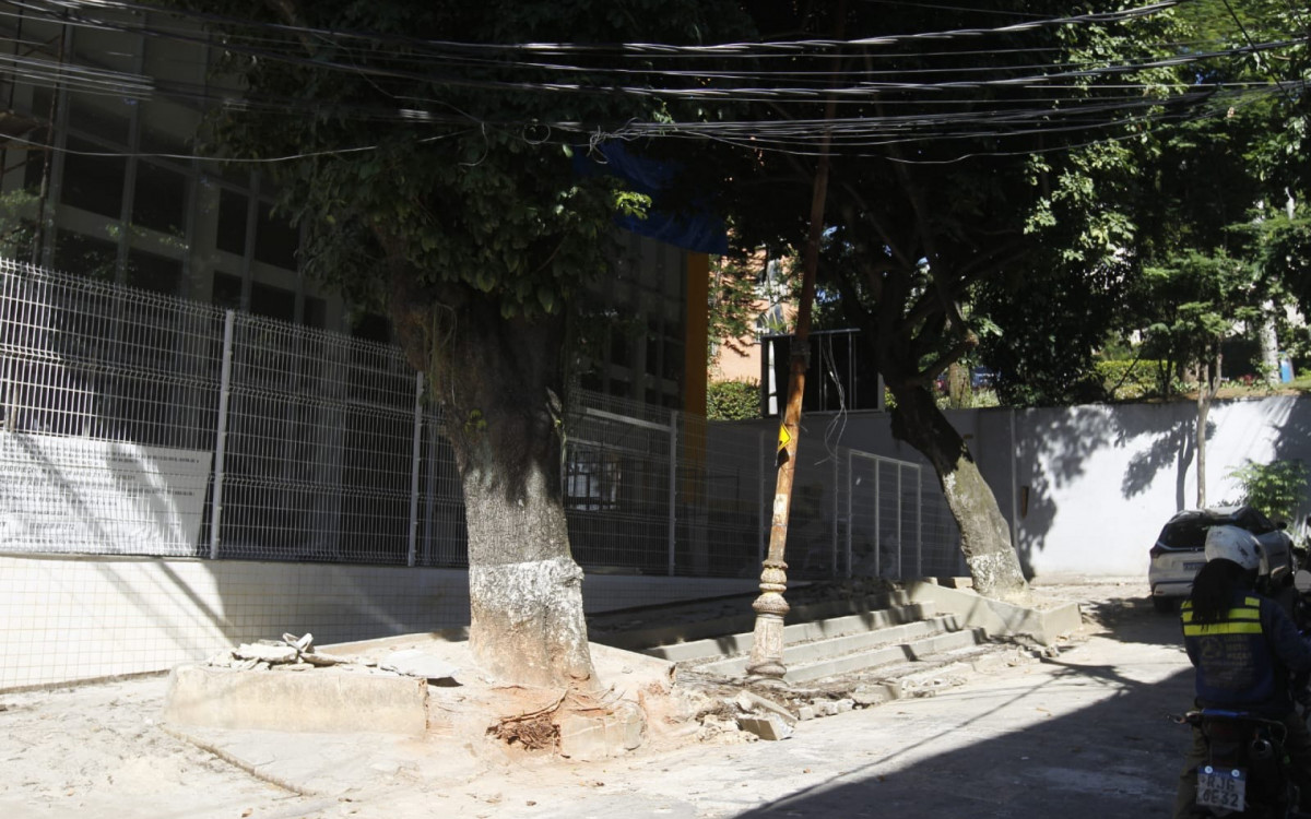 Estrutura é abrigo pra diversos animais - Reginaldo Pimenta / Agência O Dia