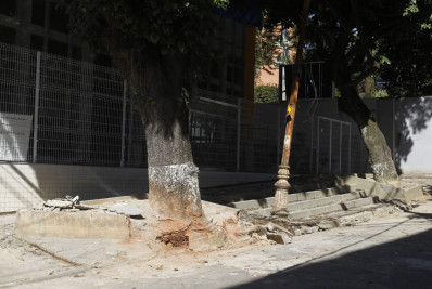 Briga por remoção de árvores em frente a colégio na Praça da Bandeira vai parar na Justiça