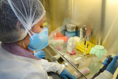 USP: pesquisa de vacina contra o vírus zika avança em testes com camundongos