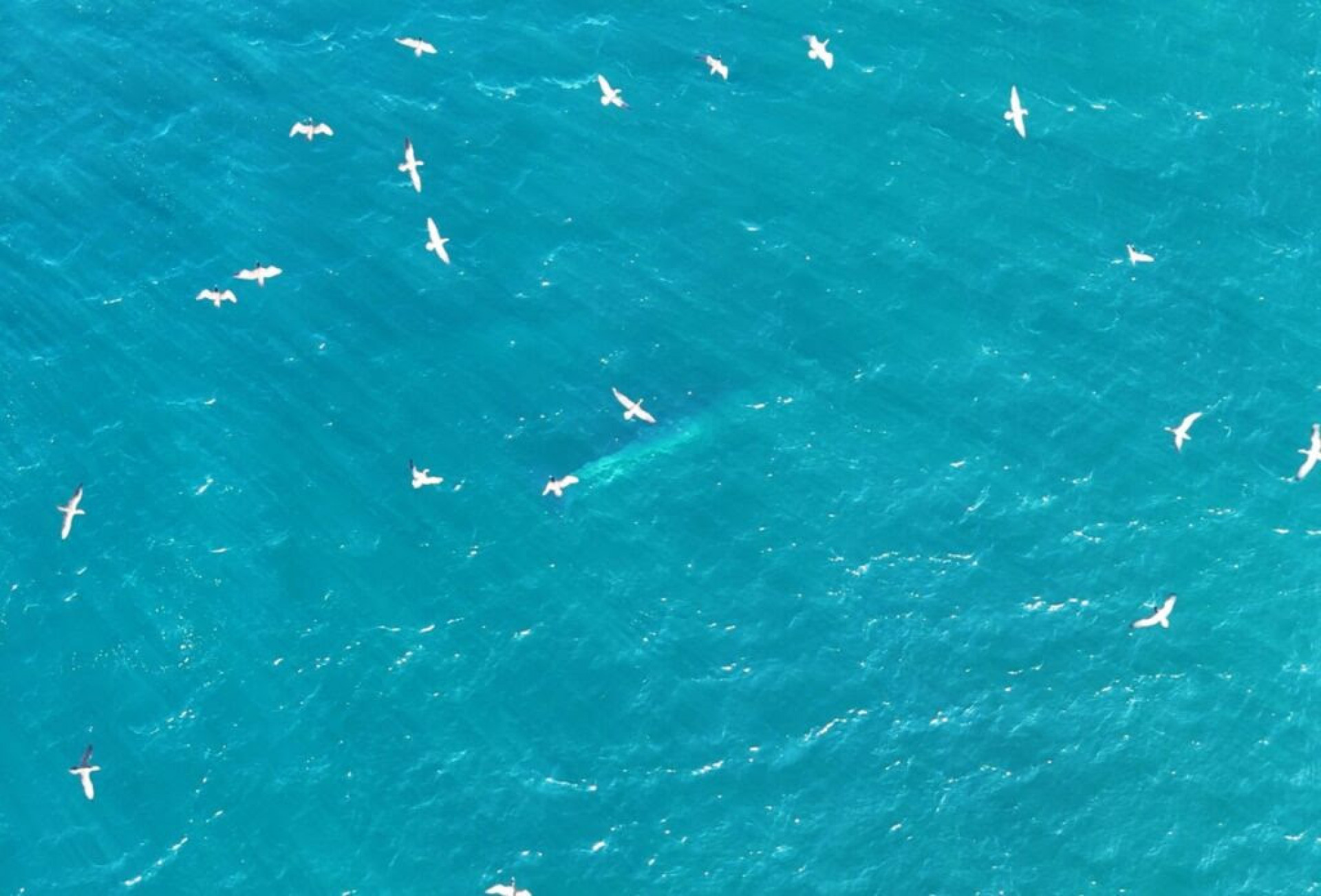 Expedição marítima - Ascom