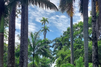 Preço de ingresso do Jardim Botânico sobe de R$ 18 para R$ 40 a visitantes brasileiros