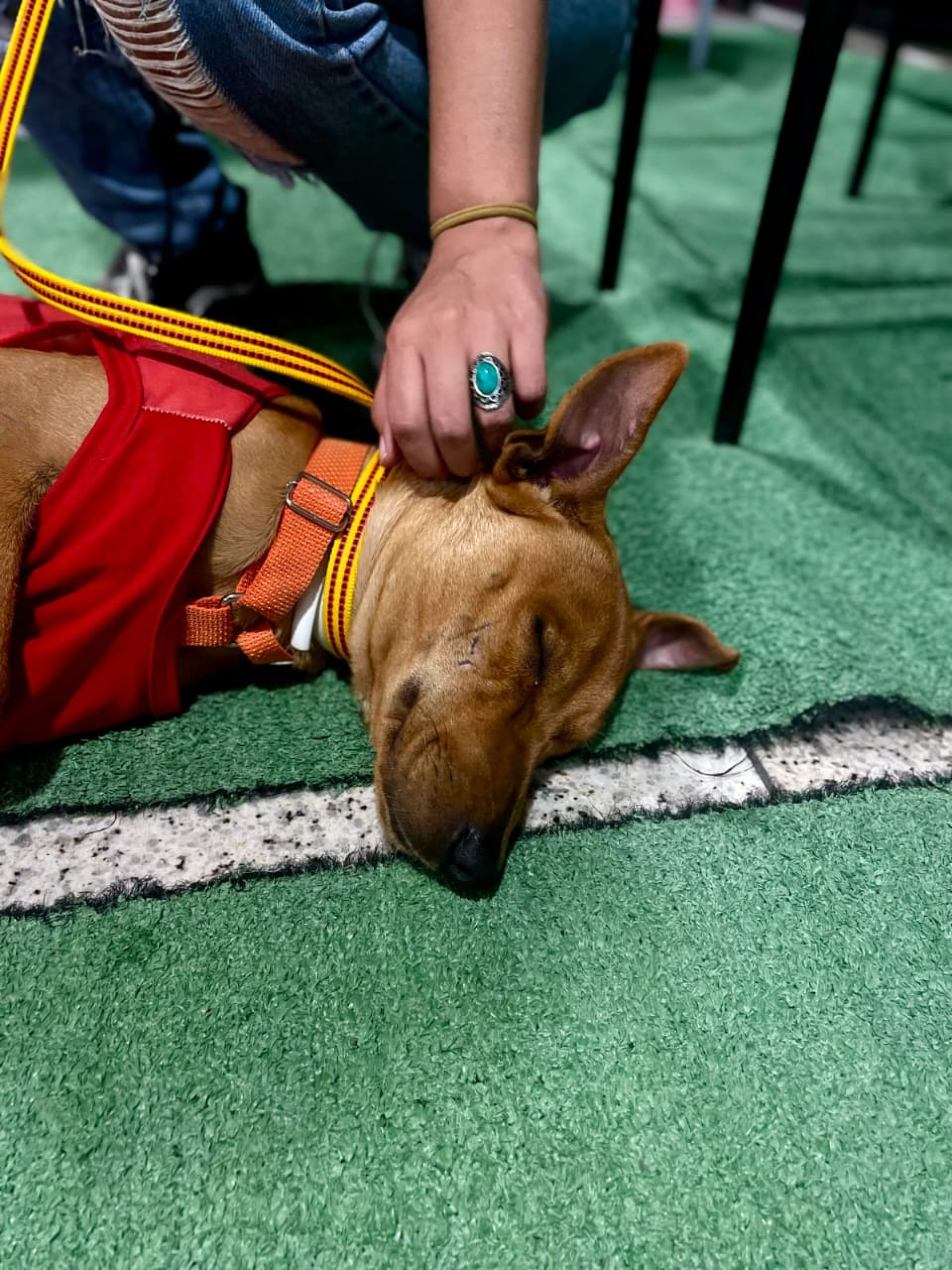 Instituto Segunda Chance