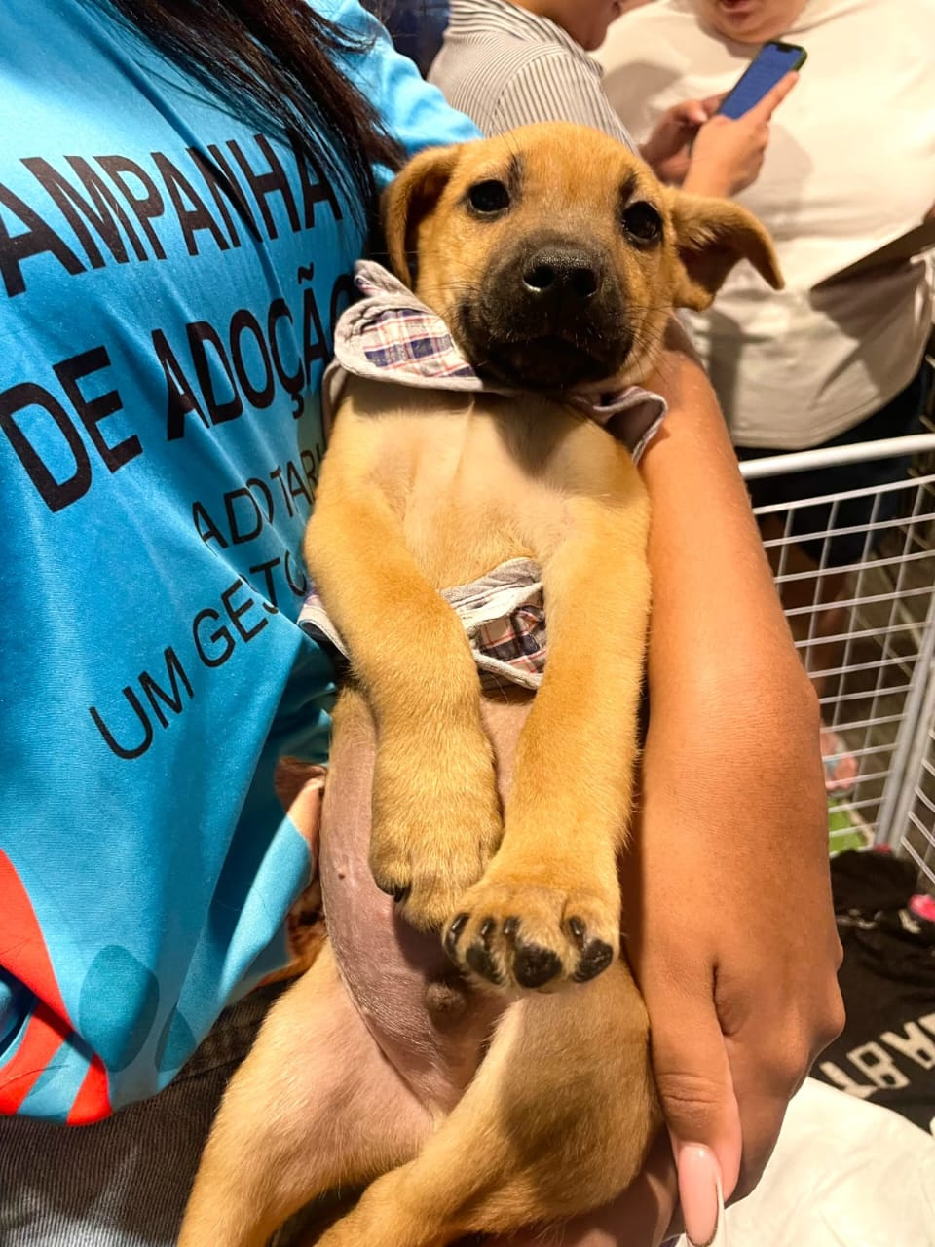 Instituto Segunda Chance