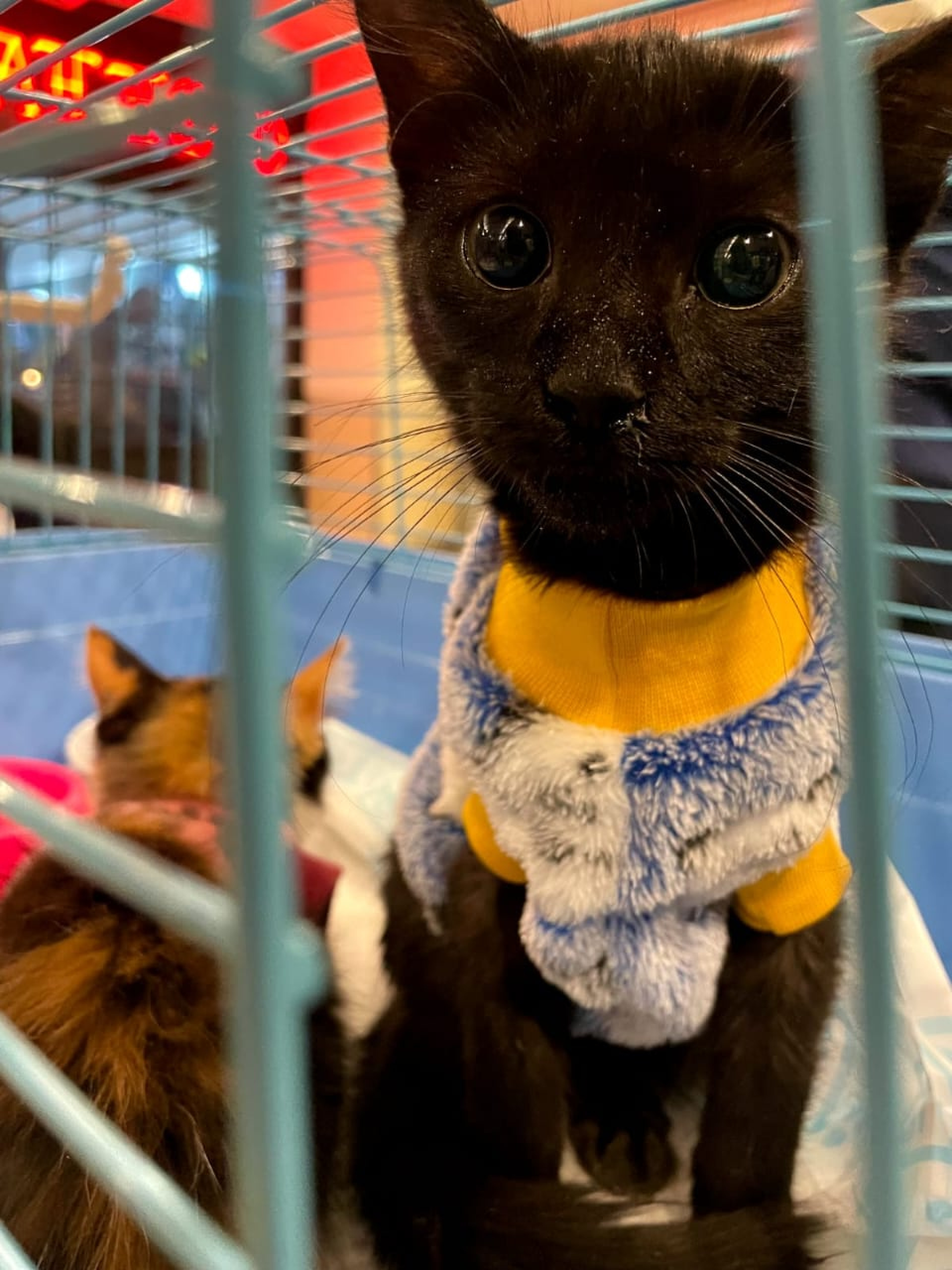 Instituto Segunda Chance