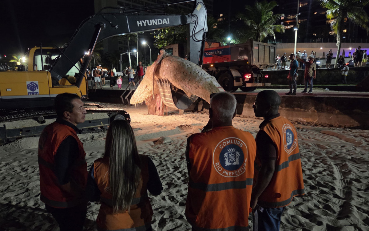 Baleia jubarte foi retirada da faixa de areia pela Comlurb