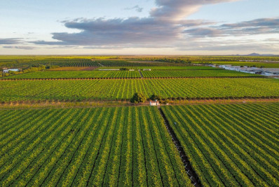 Agro vê perda de US$ 5,8 bi em exportações com tarifaço dos EUA 