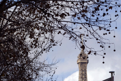 França vai reconhecer Estado palestino em setembro, diz Macron