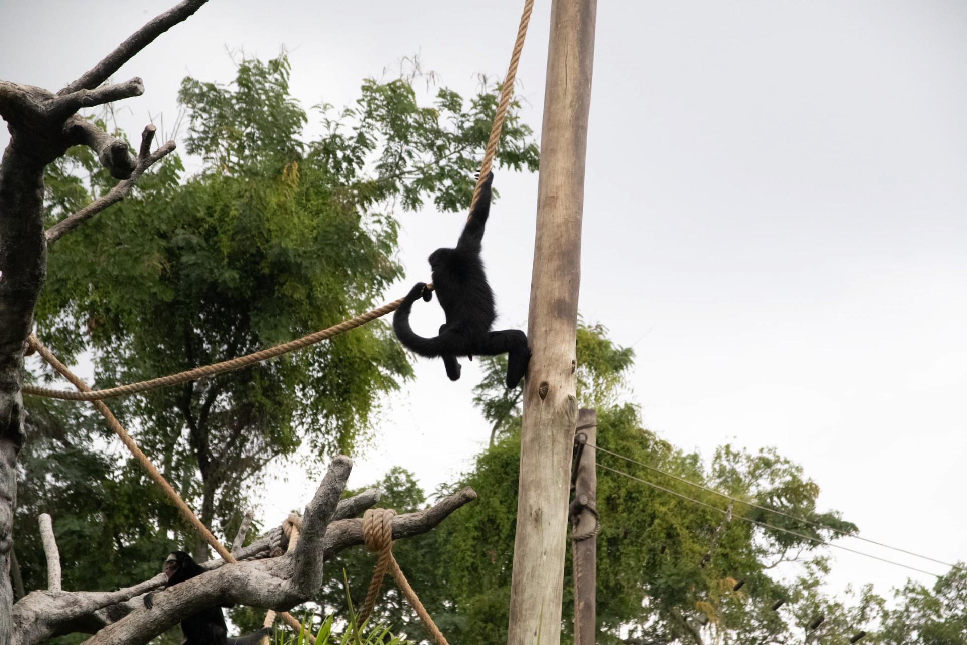 Espaço reabriu ao público nesta quinta-feira (24) - Érica Martin/Agência O Dia