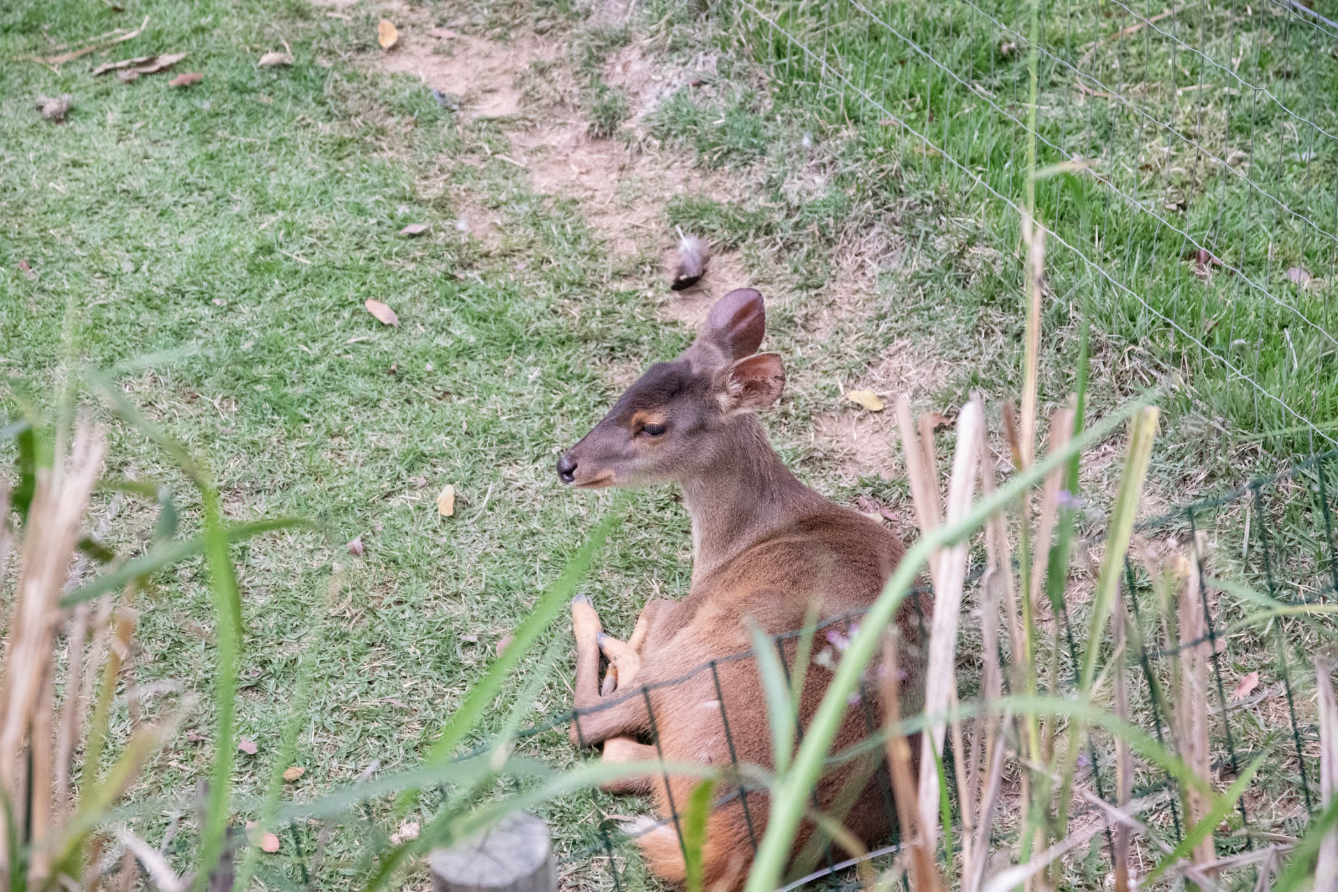 BioParque estava fechado desde o dia 17 de julho - Érica Martin/Agência O Dia
