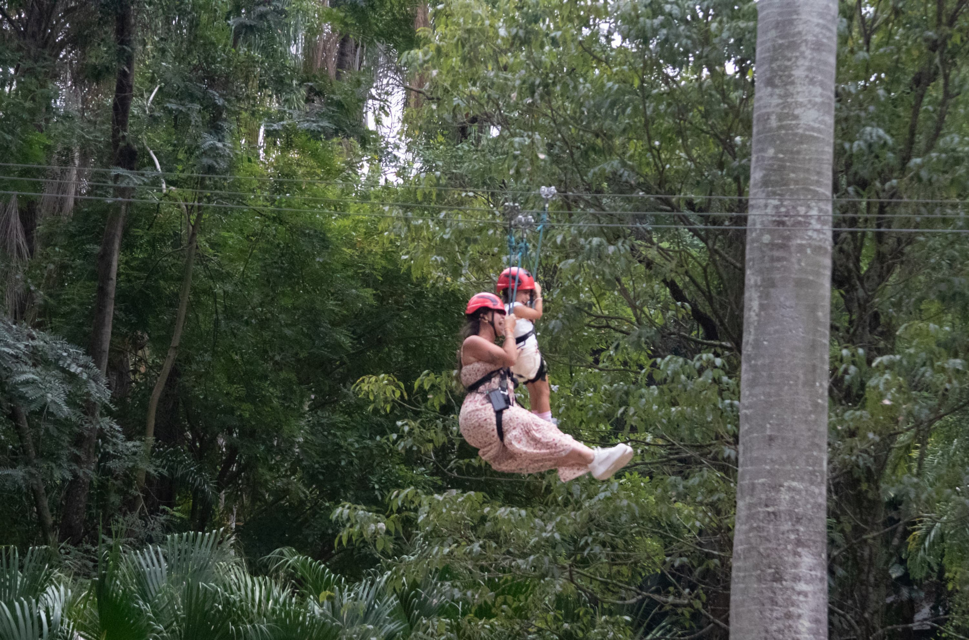 BioParque estava fechado desde o dia 17 de julho - Érica Martin/Agência O Dia