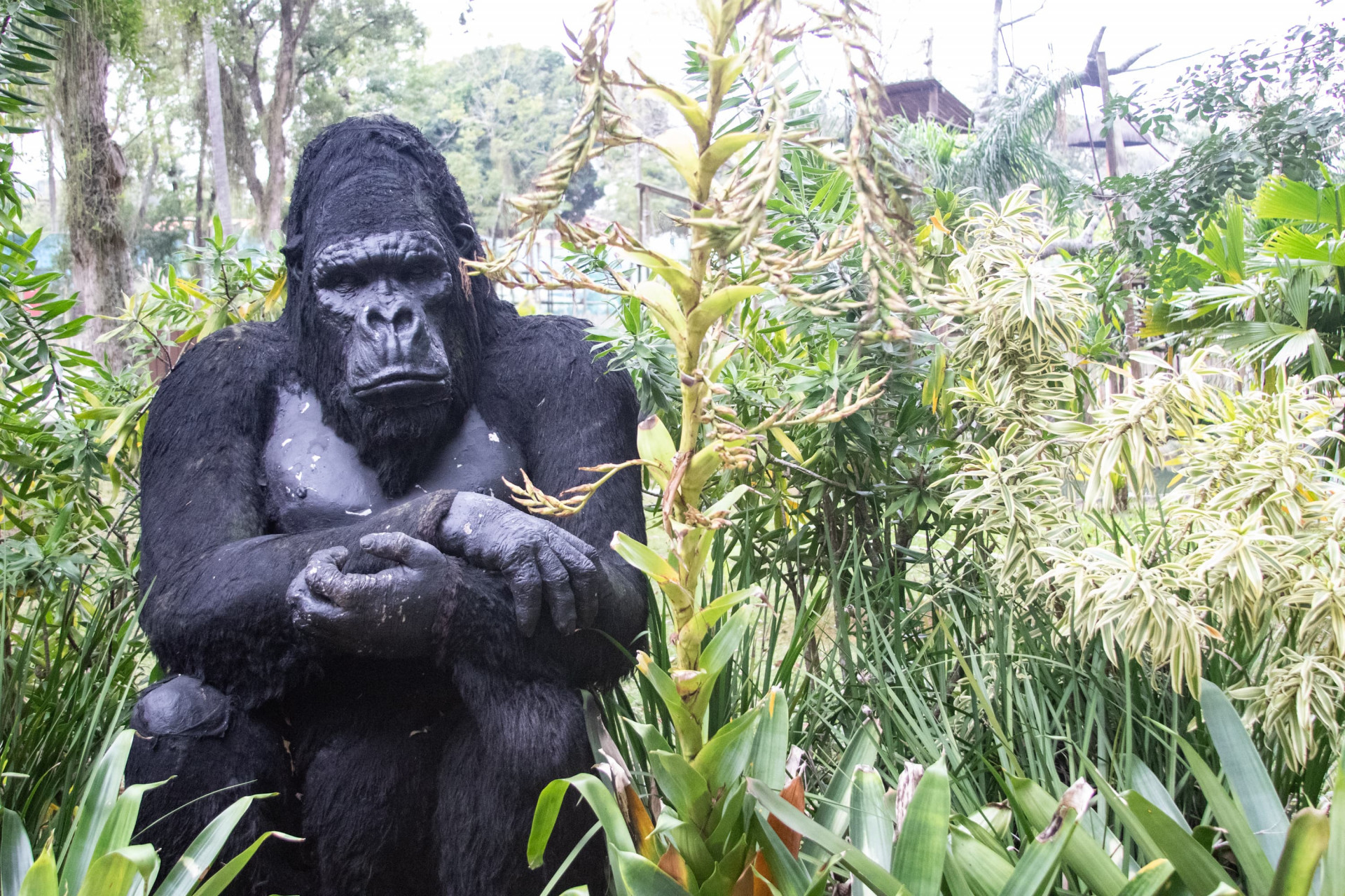BioParque estava fechado desde o dia 17 de julho - Érica Martin/Agência O Dia