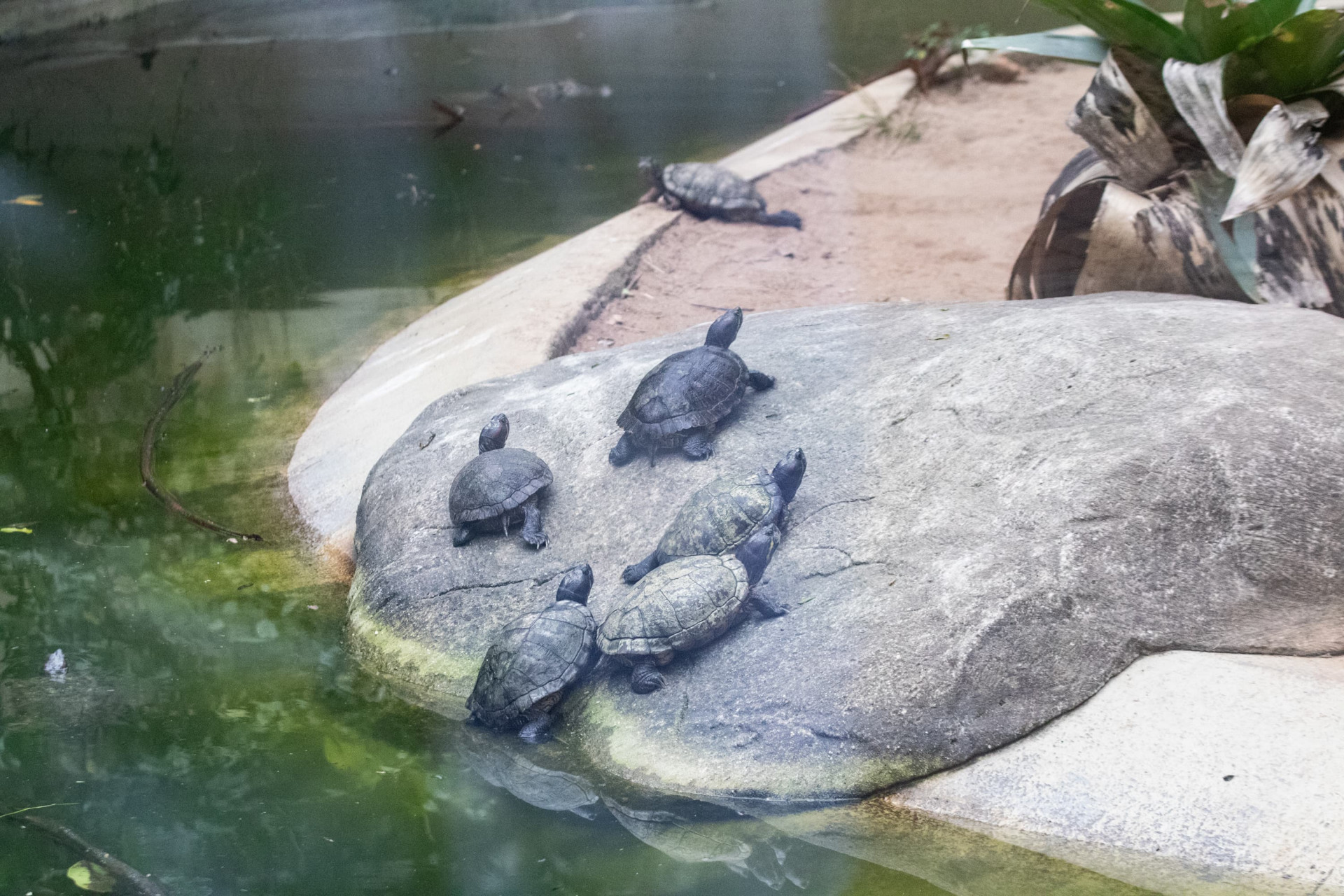 Espaço reabriu ao público nesta quinta-feira (24) - Érica Martin/Agência O Dia