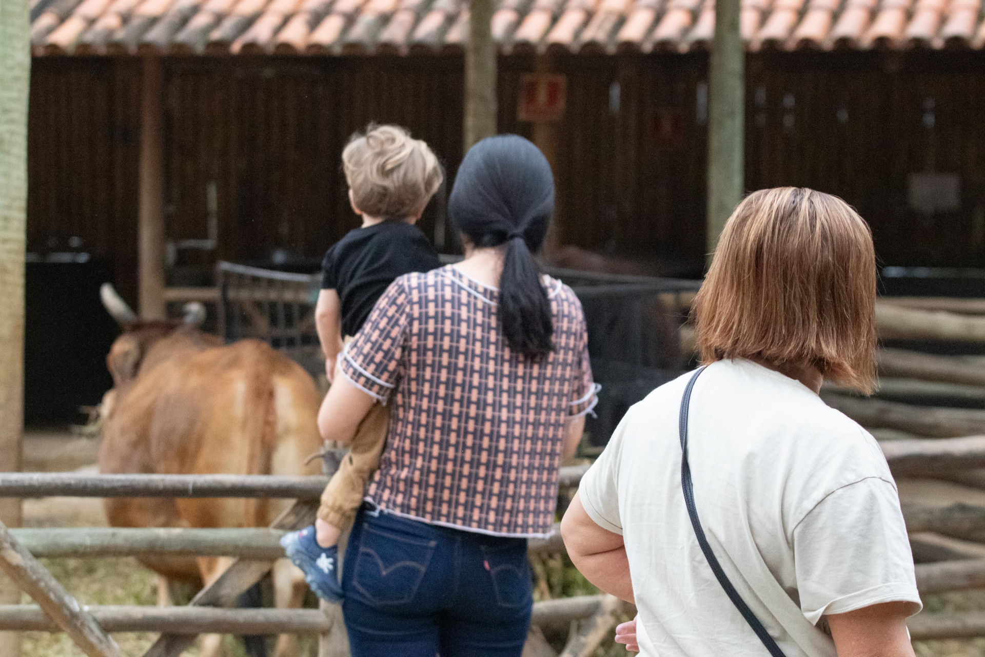 Público retorna ao BioParque após período de fechamento do espaço - Érica Martin/Agência O Dia