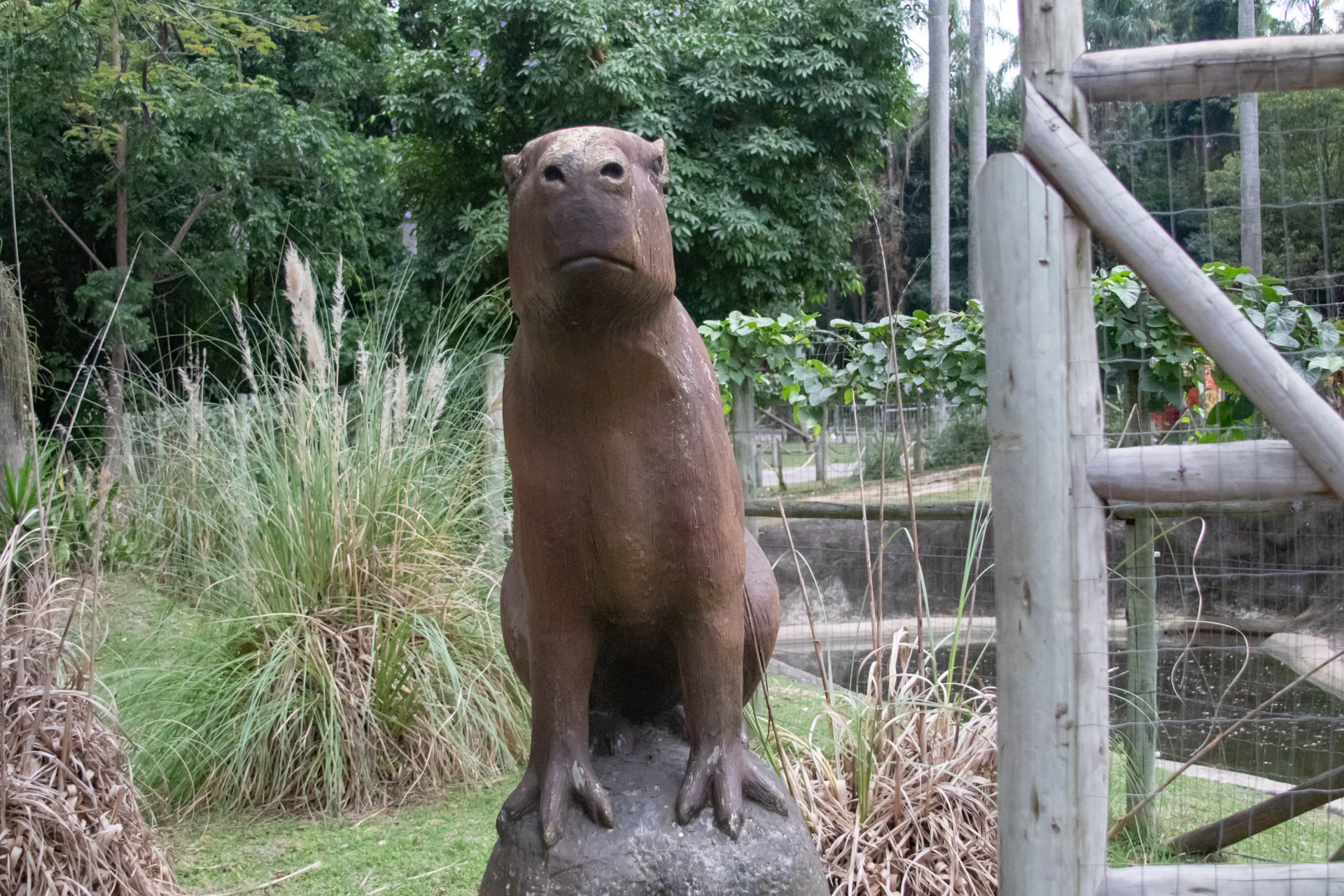 Depois de sete dias, BioParque abre as portas novamente - Érica Martin/Agência O Dia