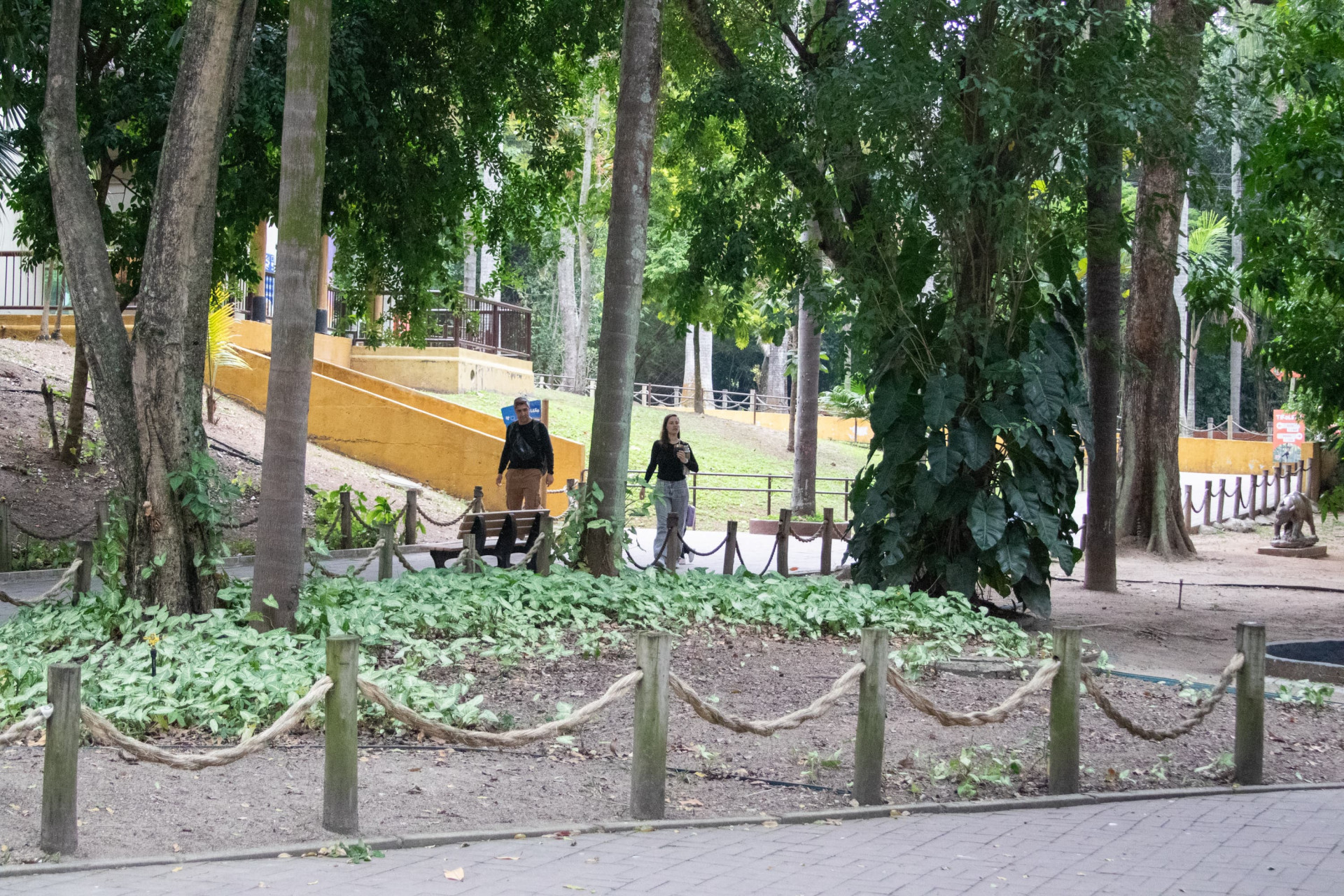 Público retorna ao BioParque após período de fechamento do espaço - Érica Martin/Agência O Dia