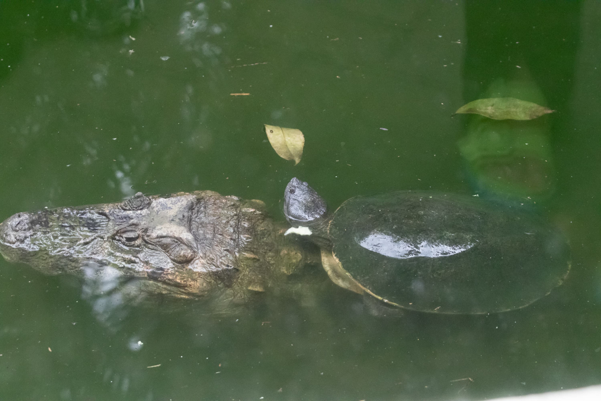 Espaço reabriu ao público nesta quinta-feira (24) - Érica Martin/Agência O Dia