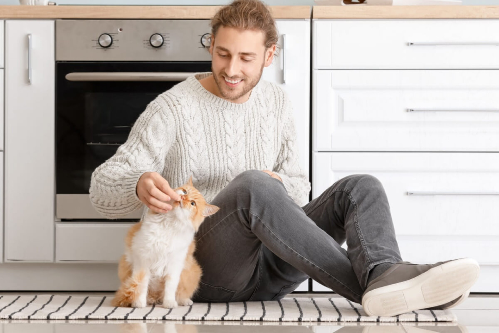 O uso de petiscos &eacute; uma das formas mais eficazes de ensinar o gato a vir quando chamado (Imagem: Pixel-Shot | Shutterstock)