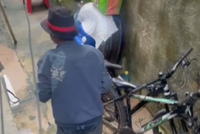 Gari é autuado por maus-tratos após ato de zoofilia com cadela