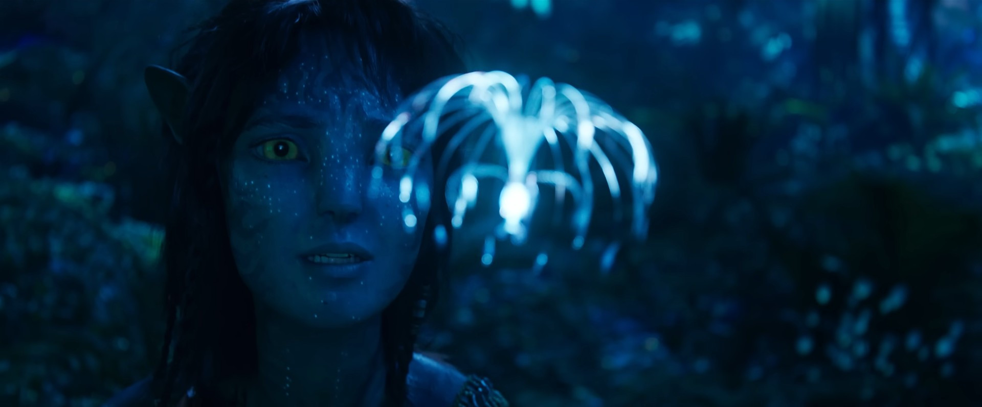 'Avatar: Fogo e Cinzas' tem primeiro trailer divulgado - Reprodução / YouTube