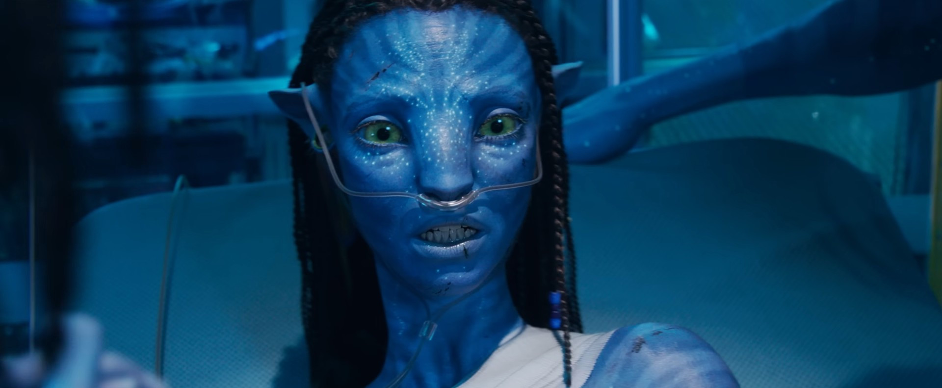 'Avatar: Fogo e Cinzas' tem primeiro trailer divulgado - Reprodução / YouTube