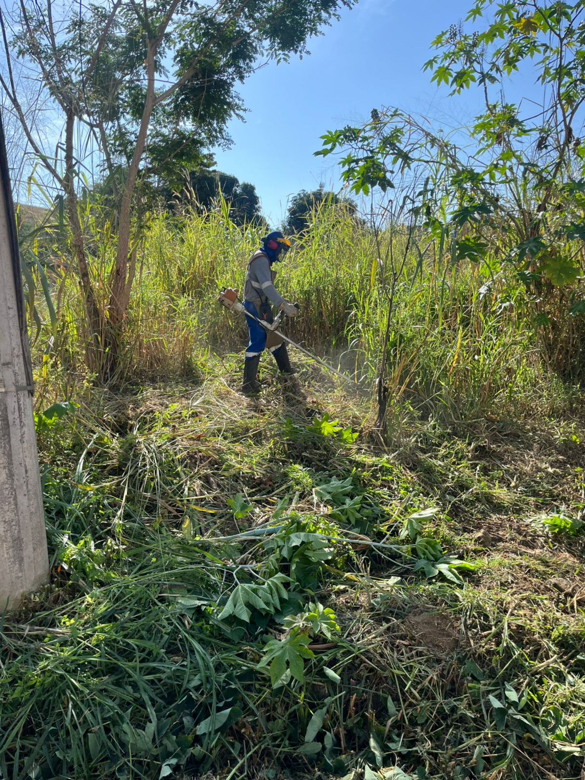 Mutirão no Vale dos Barões