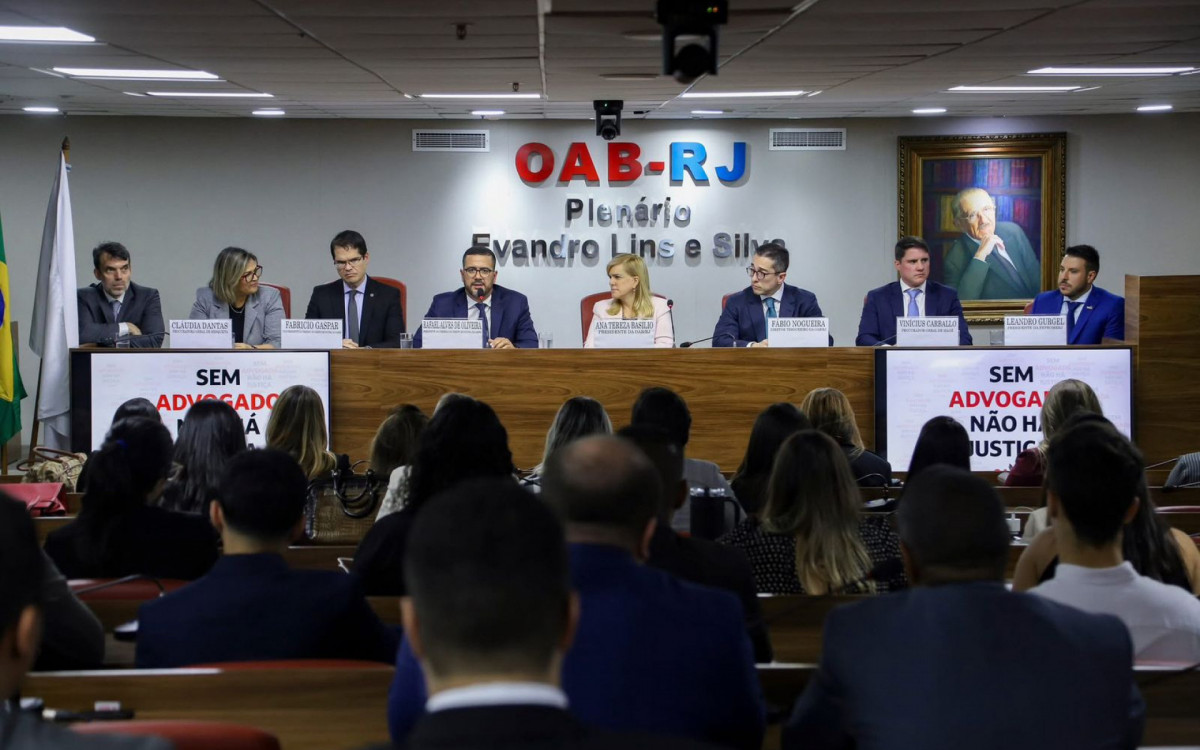 No plenário da OAB / RJ, Rafael Alves de Oliveira agradeceu ao apoio da presidente e dos advogados

