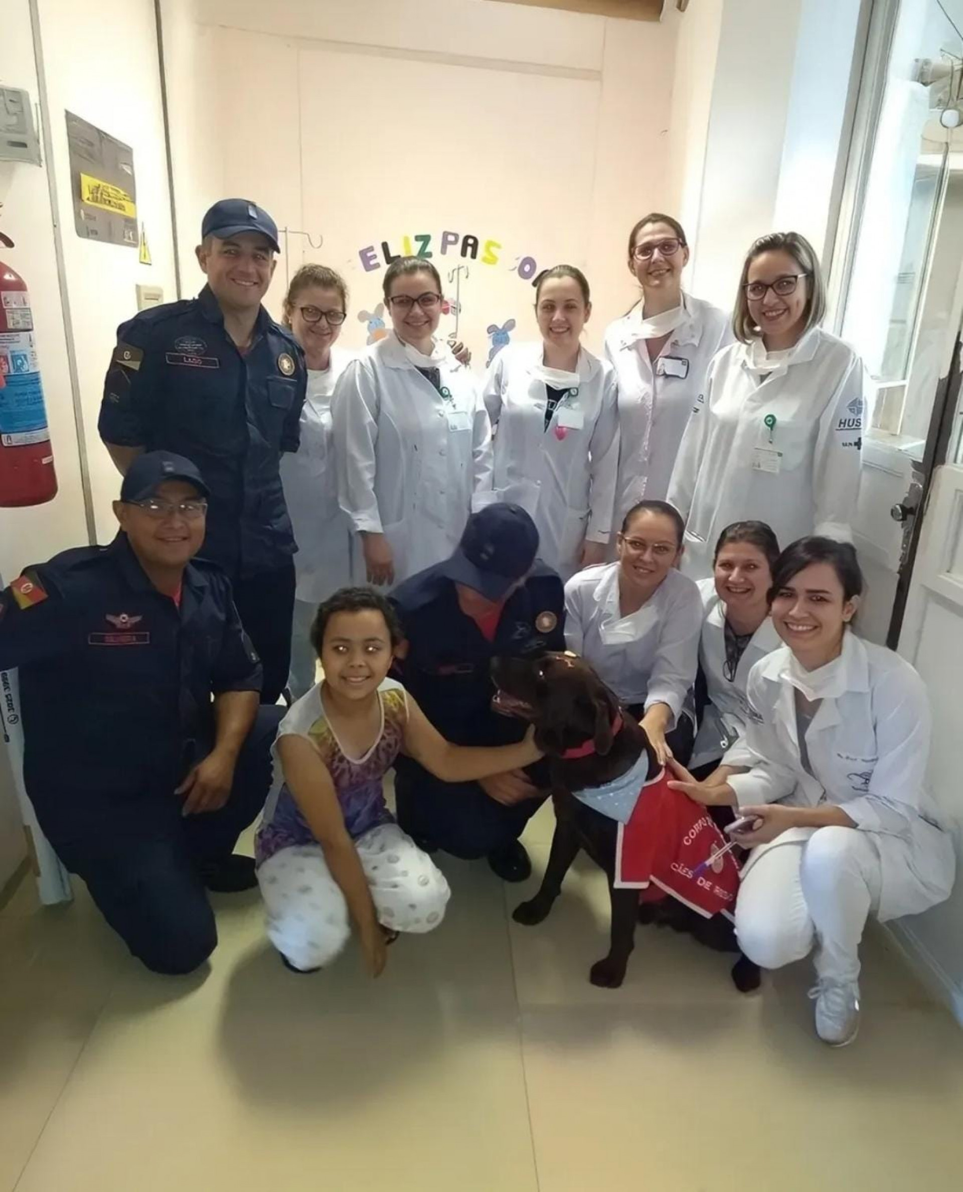 O animal estava sofrendo com um câncer agressivo - Reprodução / Corpo de Bombeiros