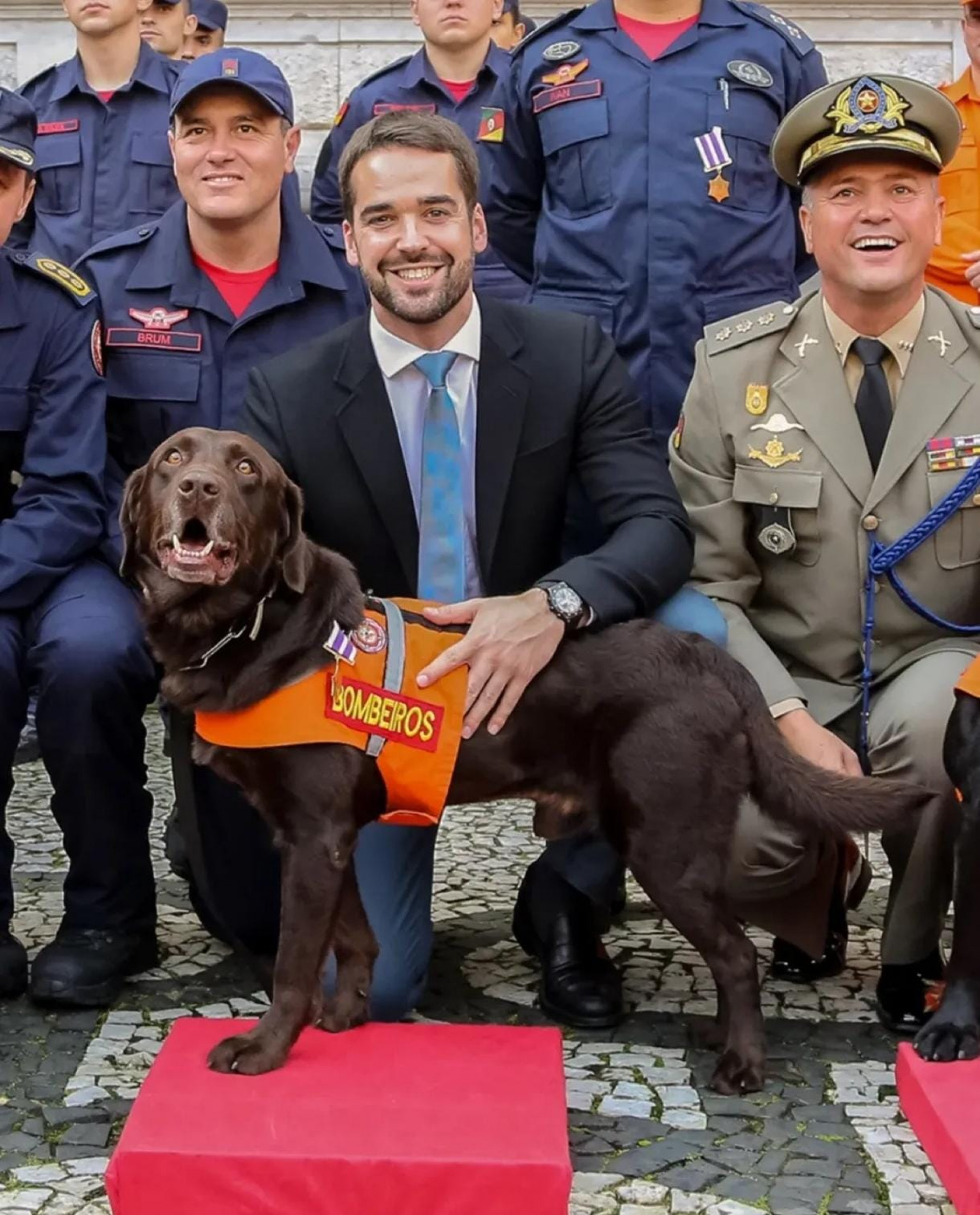 O governo do Rio Grande do Sul também se despediu de Guapo - Reprodução / Corpo de Bombeiros
