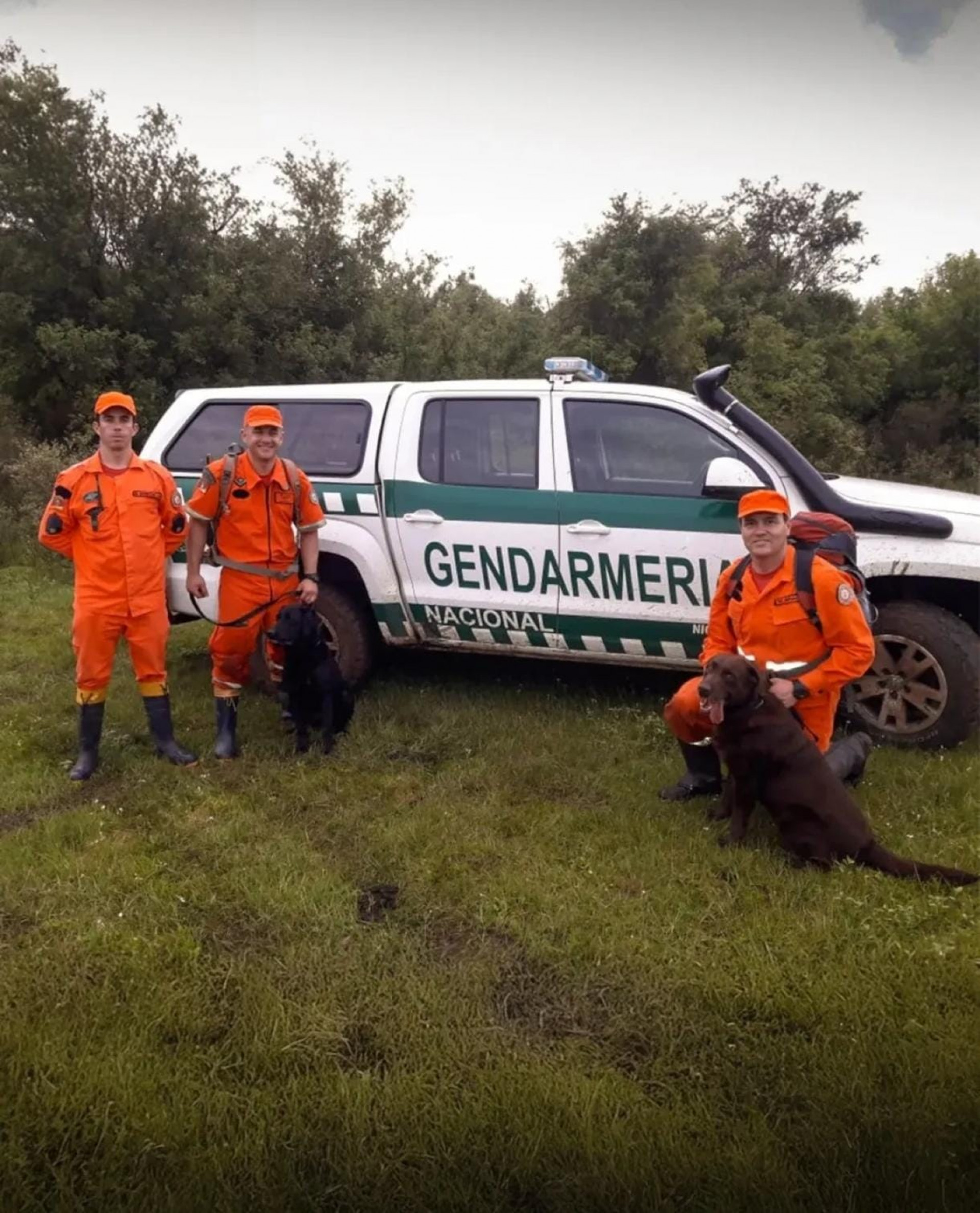 Guapo atuou em diversas missões ao longo de mais de uma década - Reprodução / Corpo de Bombeiros