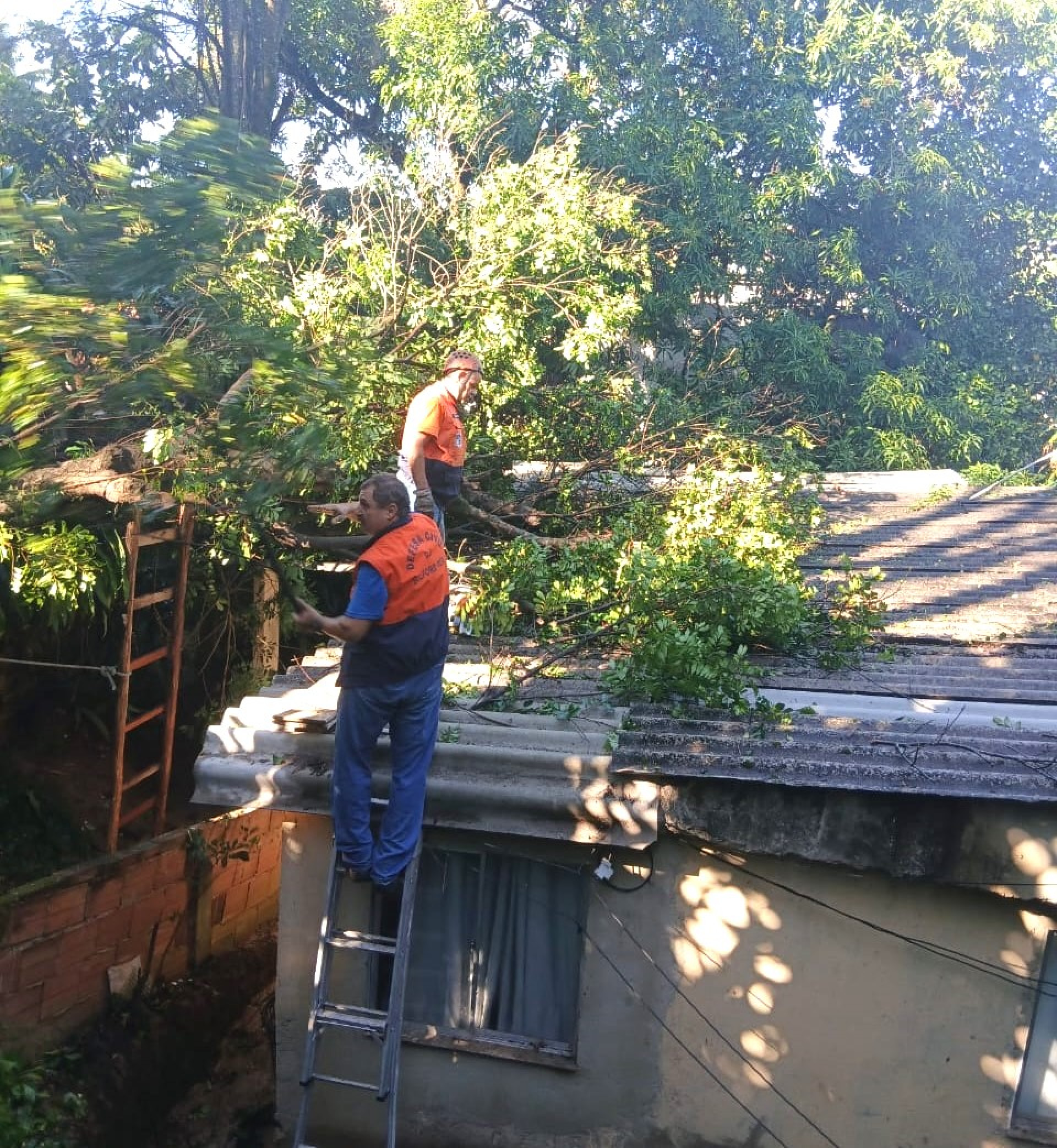 Agentes da defesa Civil tiveram muito trabalho, nas retiraram a &aacute;rvores que desabou na casa   - PMBR