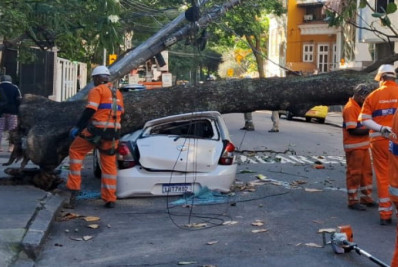 Árvore cai e destrói carro em Laranjeiras