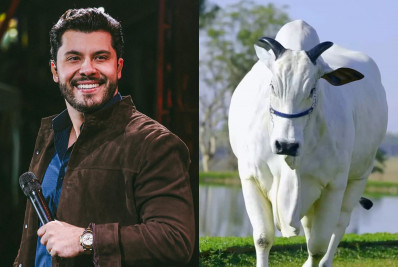 Murilo Huff compra vaca de R$ 17 milhões: 'Investimento'
