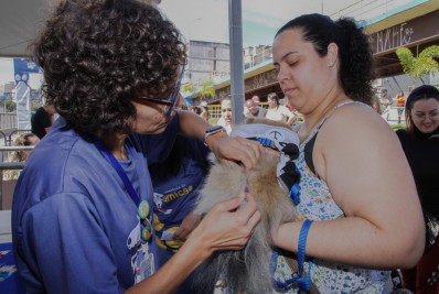 Latidos e miados animam a Roosevelt Brasil em Barra Mansa