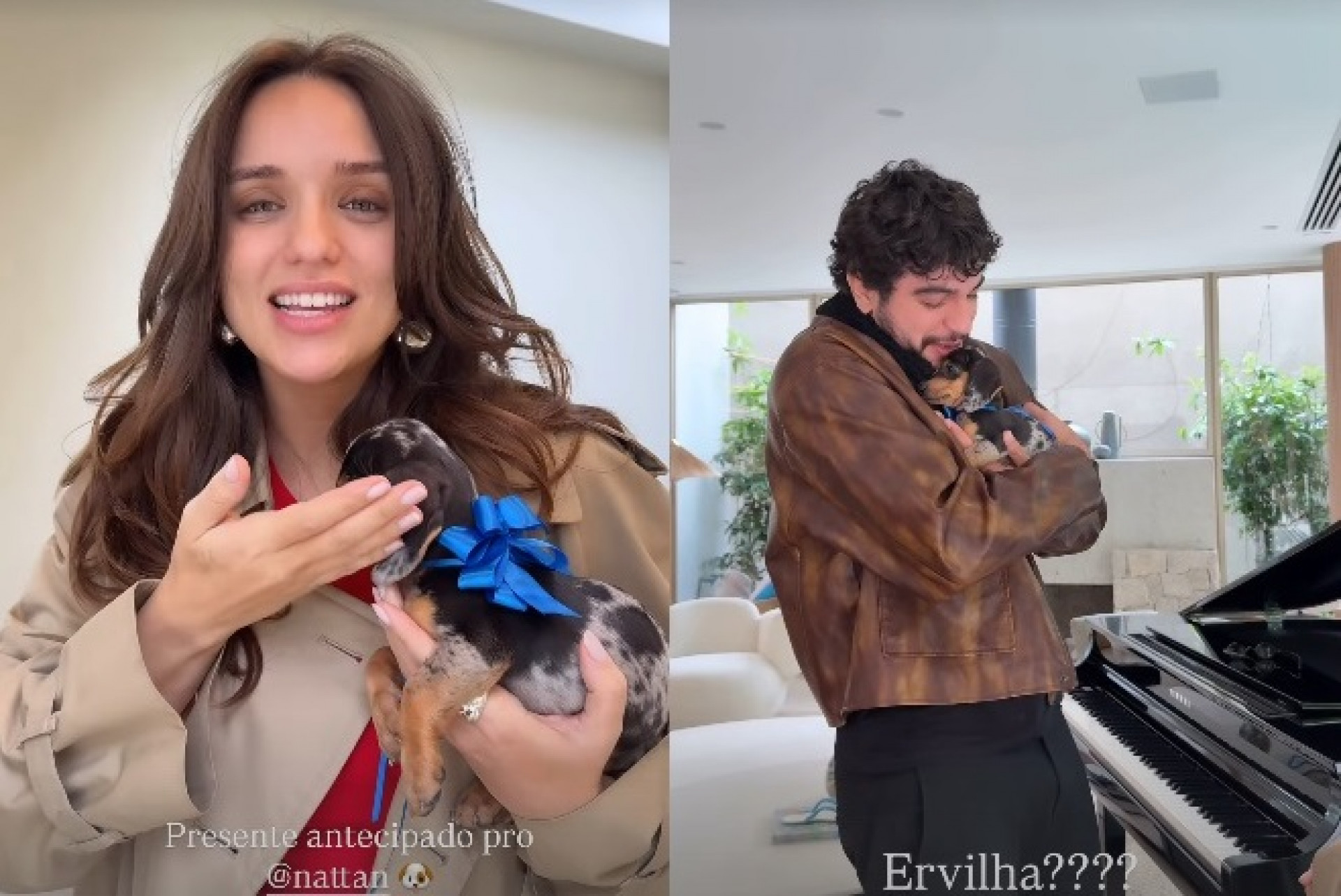 Rafa Kalimann presenteou Nattan com um filhote de cachorro - Reprodução/Instagram