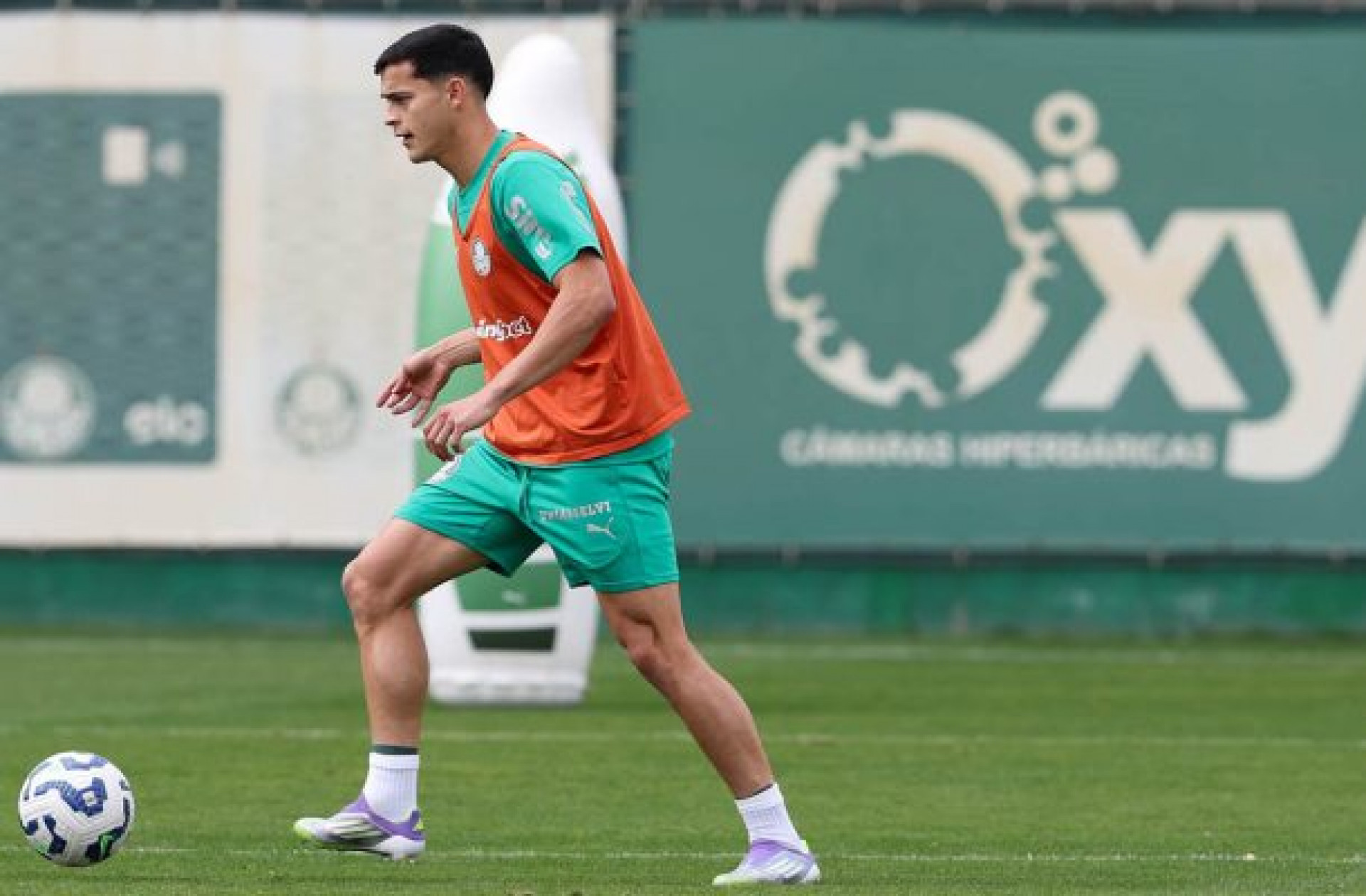 Sosa fala sobre a adapta&ccedil;&atilde;o ao Palmeiras e promete ‘deixar tudo’ em campo no D&eacute;rbi
