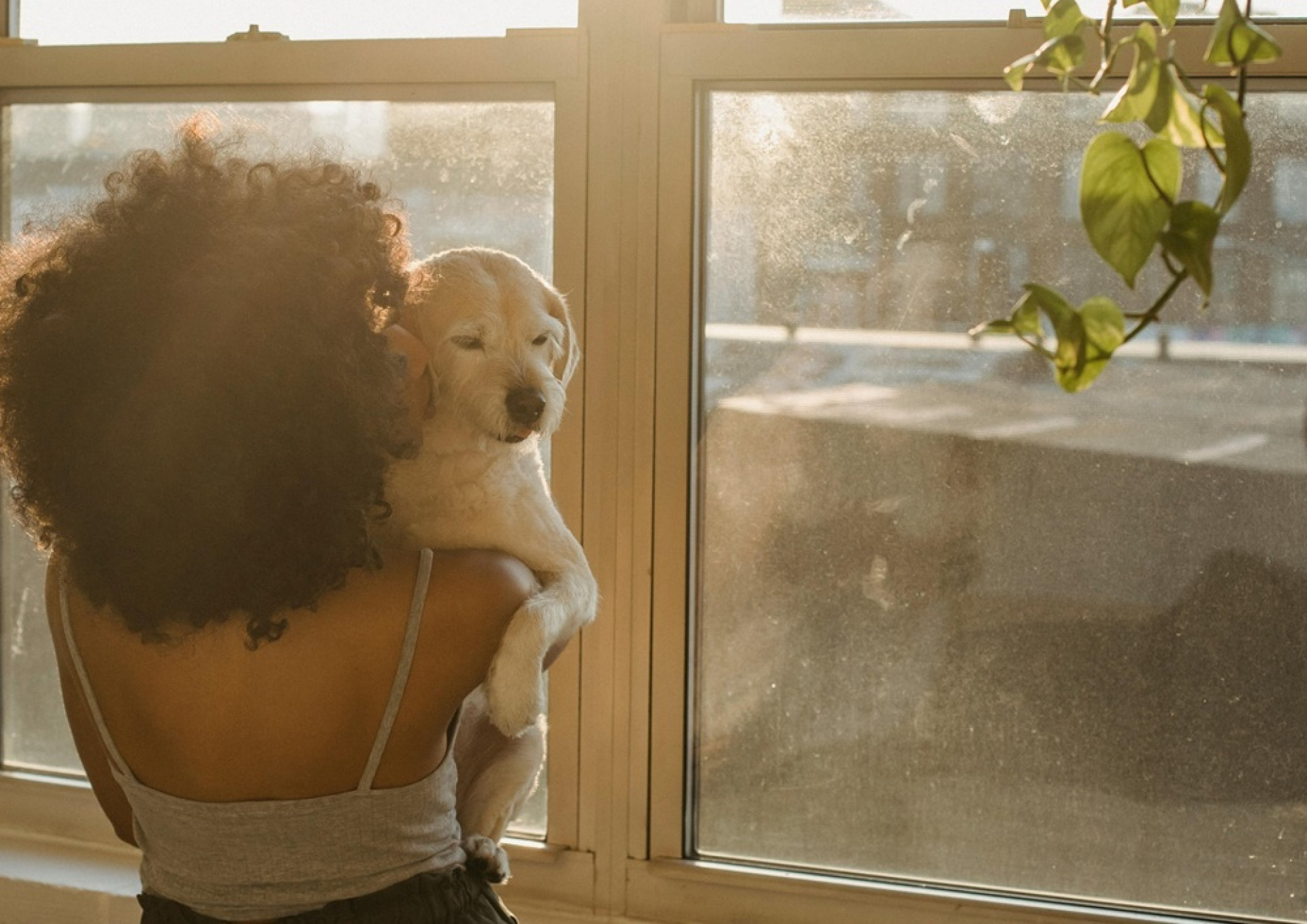 Efeitos da luz no corpo: como ela interfere no sono, energia e humor