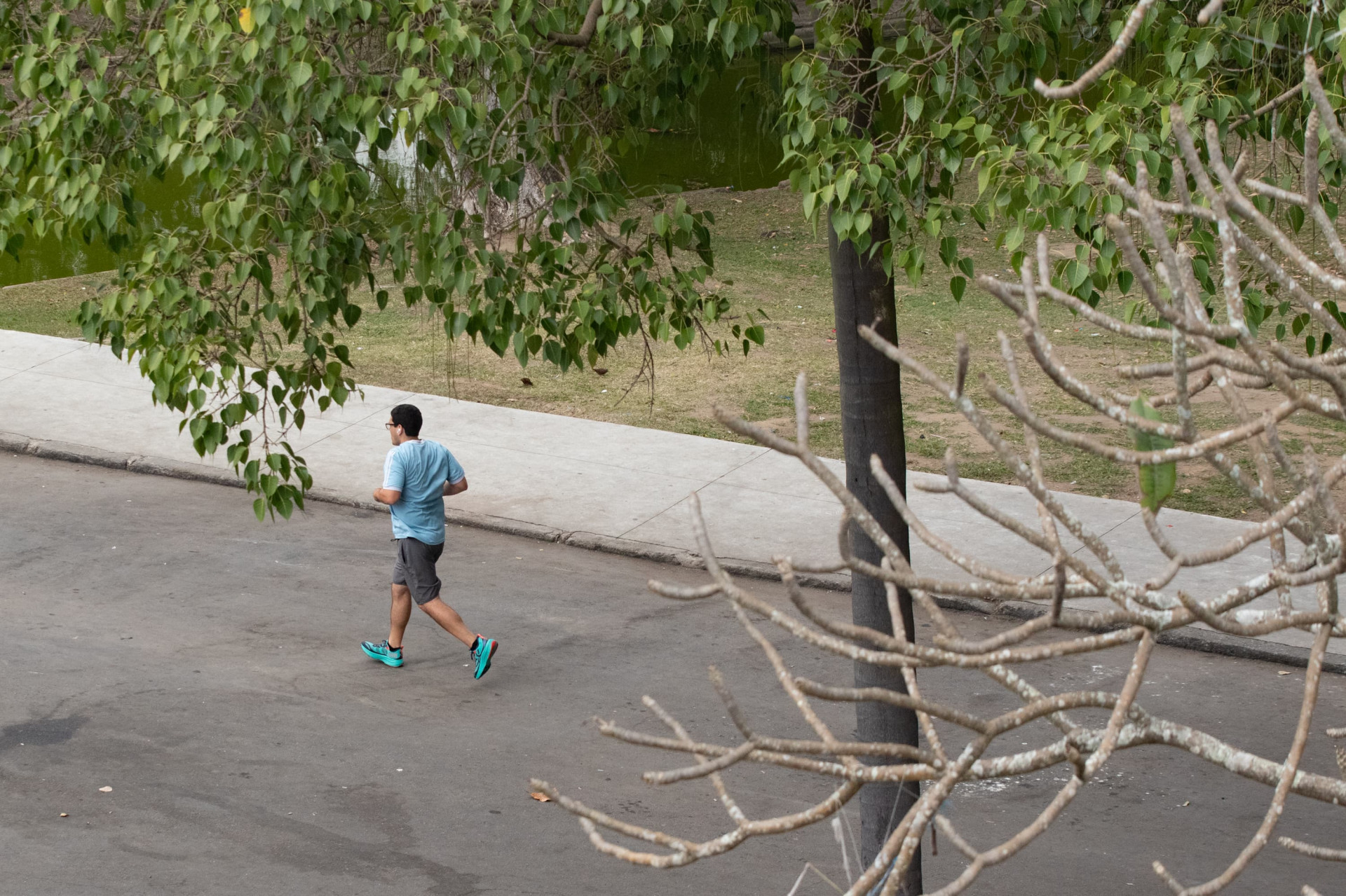 Quinta da Boa Vista, Zona Norte do Rio de janeiro, nesta terça-feira (5) - Érica Martin / Agência O Dia