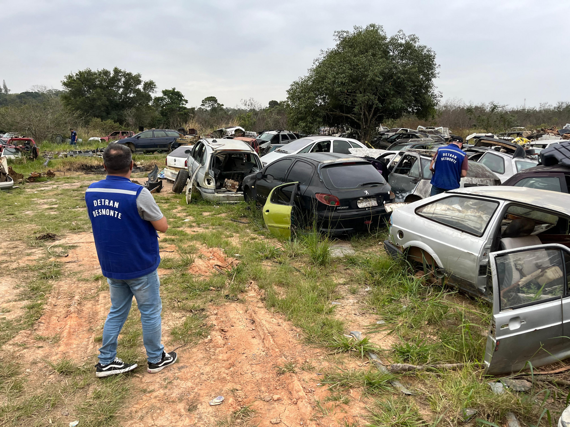 Ferro-velho em área rural de Saquarema foi interditado com mais de 140 carcaças de veículos - Divulgação