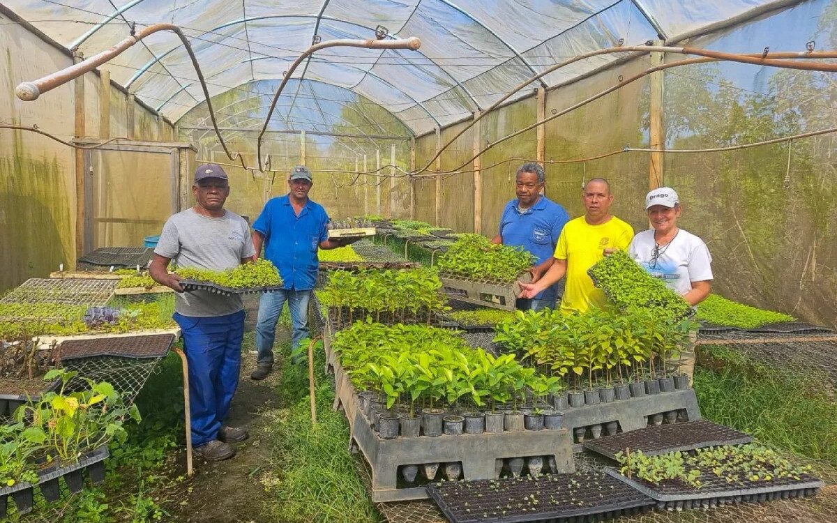 Prefeito Marcelo Batista visita Horto Municipal e acompanha de perto o desenvolvimento das mudas para a agricultura local