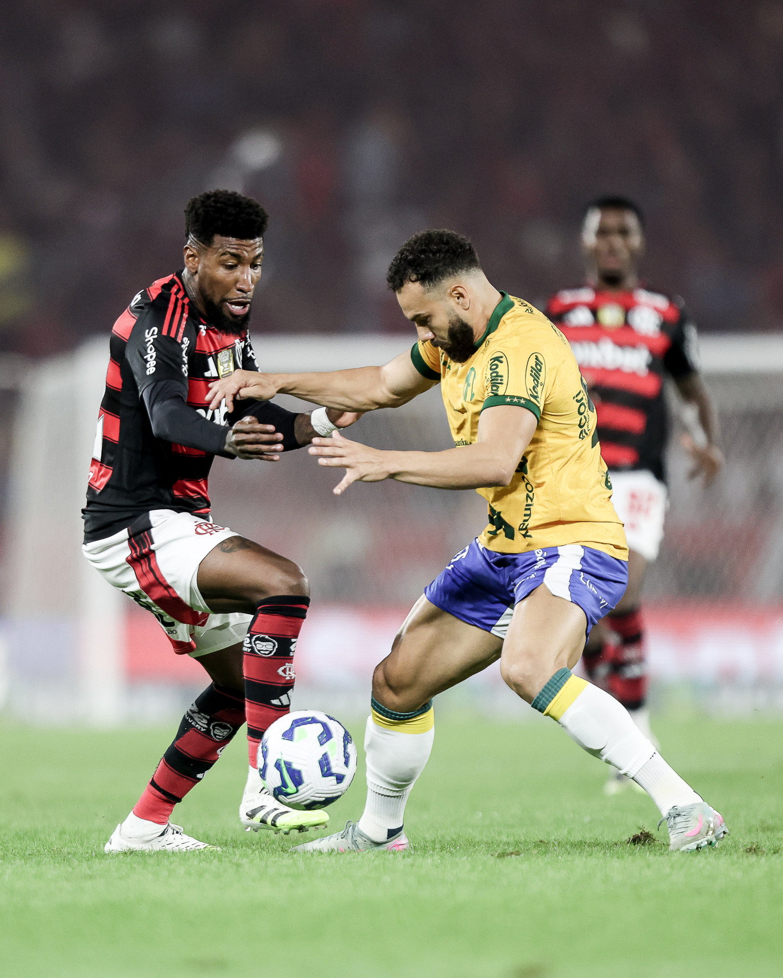 FLAMENGO X MIRASSOL - CAMPEONATO BRASILEIRO - MARACANA - 09-08-2025 - Gilvan de Souza/Flamengo