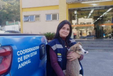Cobea prende homem por maus-tratos a filhote de cachorro no Alto da Serra