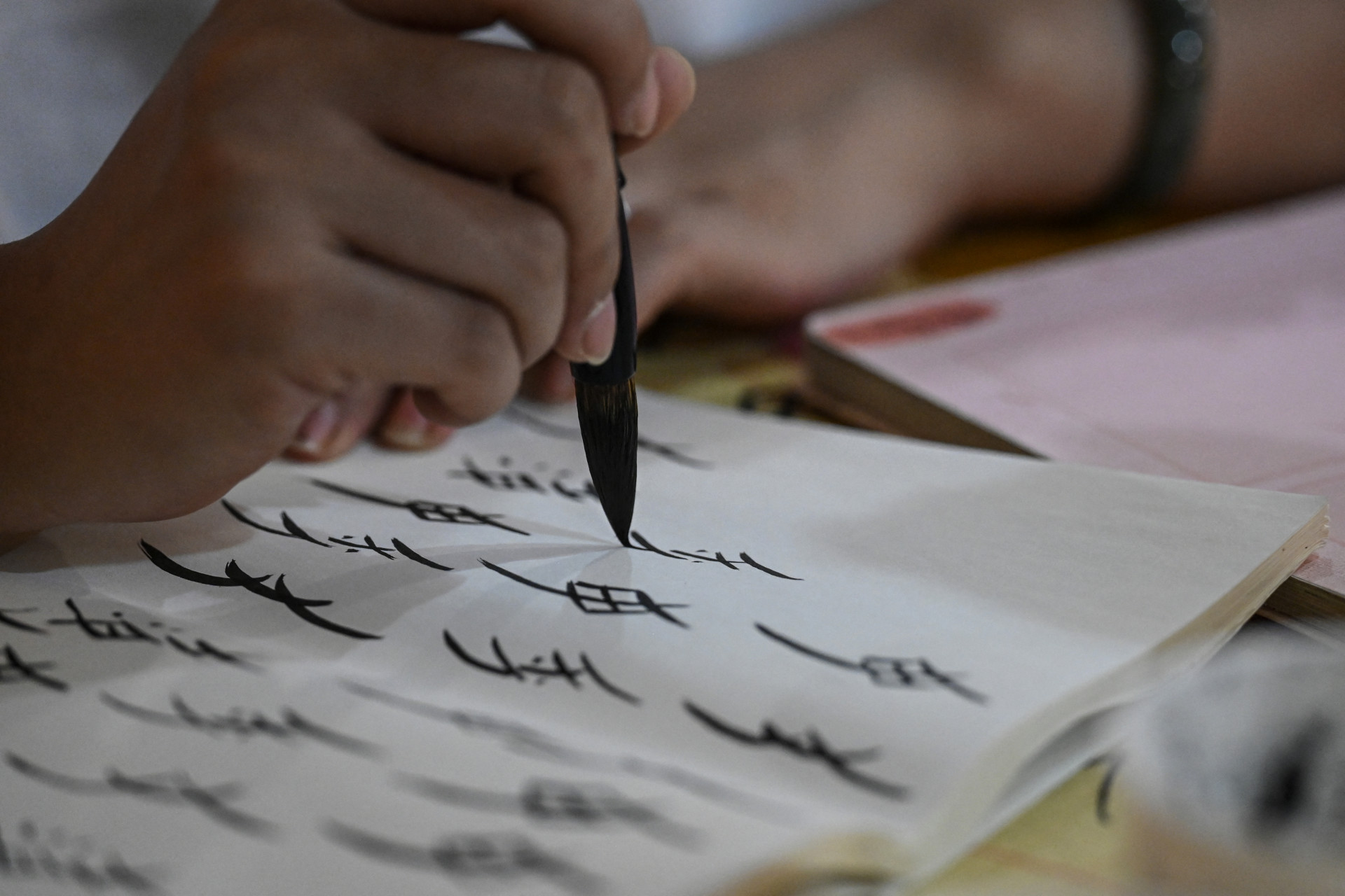 N&uuml;shu foi criado h&aacute; cerca de 400 anos - Jade Gao/AFP/Ag&ecirc;ncia O Dia