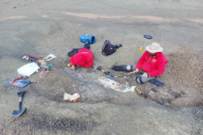 Cientistas descobrem fósseis de mamíferos da era dos dinossauros na Patagônia