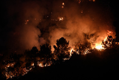 Governo publica regras para prevenção de incêndio florestal em propriedades rurais