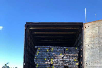 Polícia prende motorista com quase uma tonelada de maconha em São Paulo 