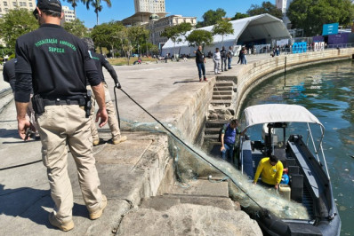 Autoridades recolhem cerca de 1km de redes de pesca proibidas em praias do Rio